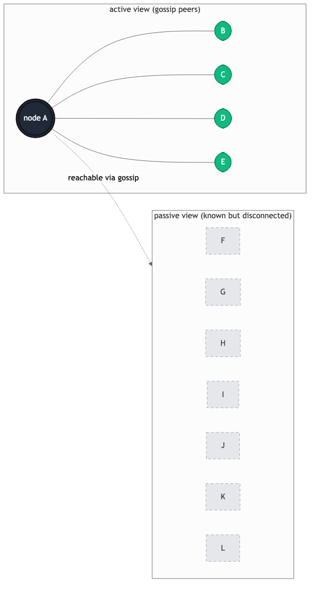 HyParView active view: a node connects to a small set of gossip peers, with additional known peers held in a passive cache.