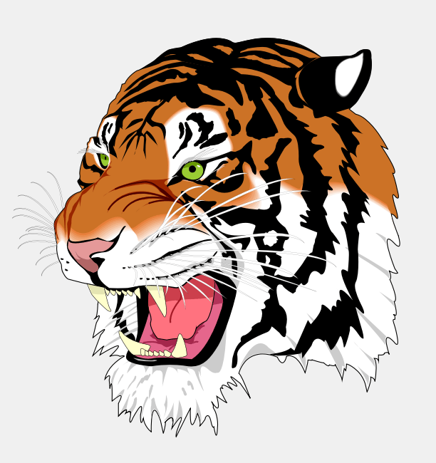Vector tiger head with dynamic strokes