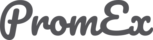 PromEx Logo